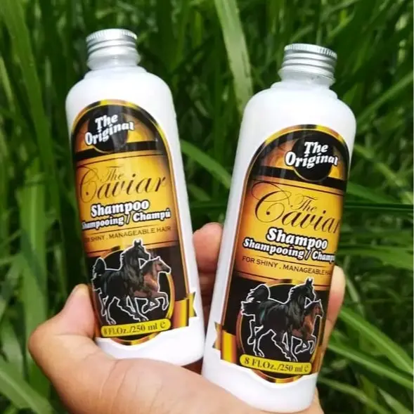 sampo kuda untuk domba garut 0
