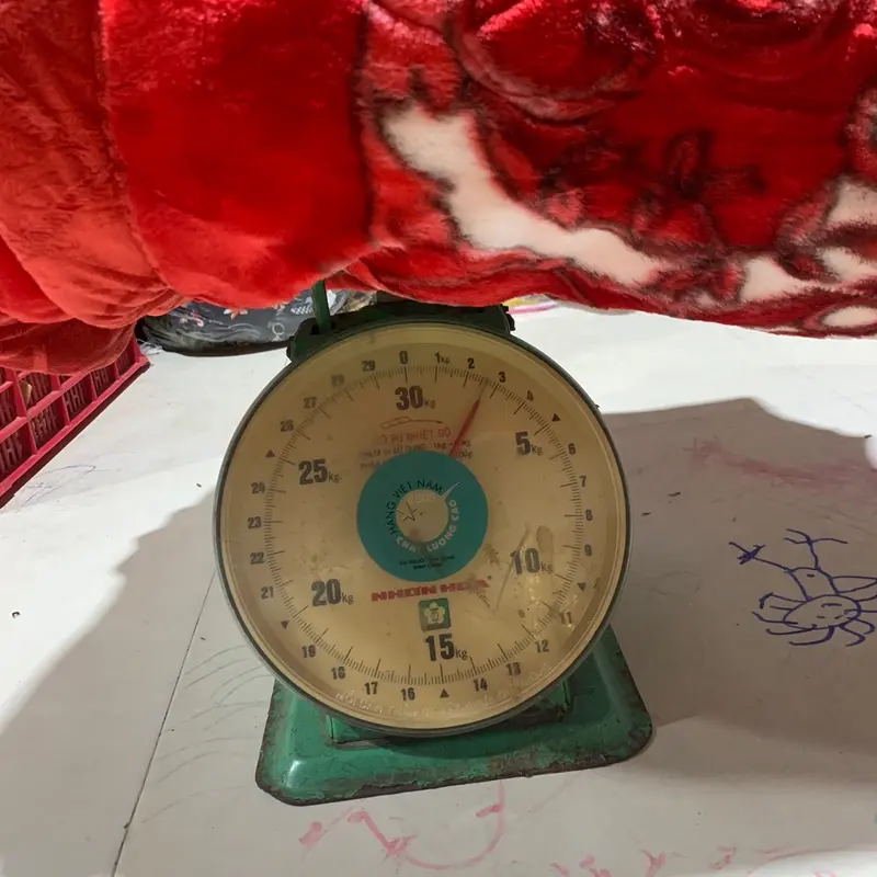 Mền tuyết loại lớn( cân nặng thực tế 2,7kg) 3
