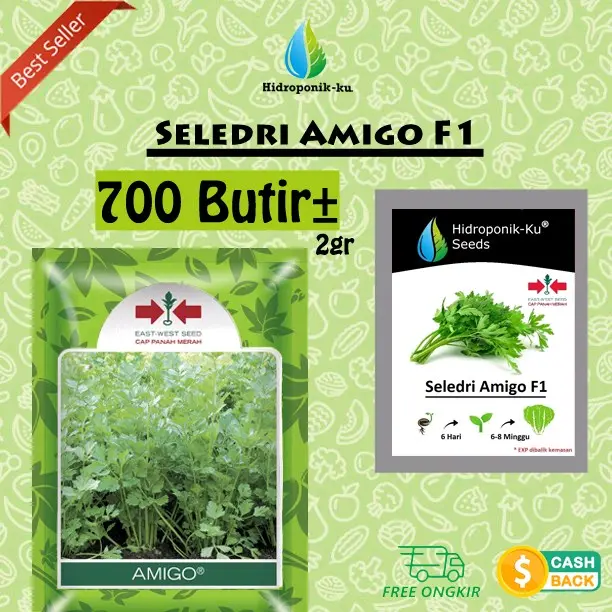 Bibit / Benih Seledri Amigo F1 Cap Panah Merah (700 Butir) Hidroponik Ku