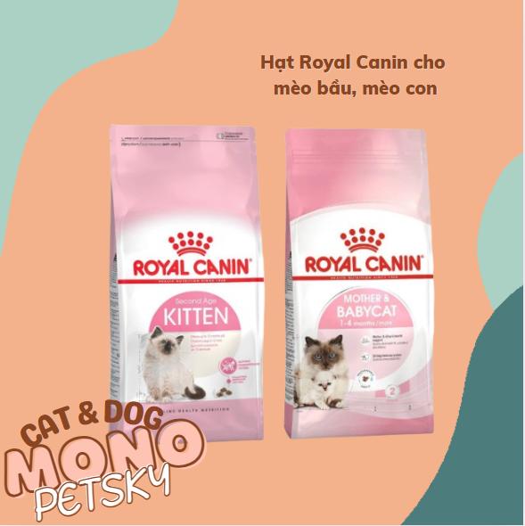 Thức ăn cho mèo Royal Canin Kitten - Mother Baby Cat túi 400gr - 2KG royal canin hat meo hạt sk hạt cho hat dinh duong chomeo
