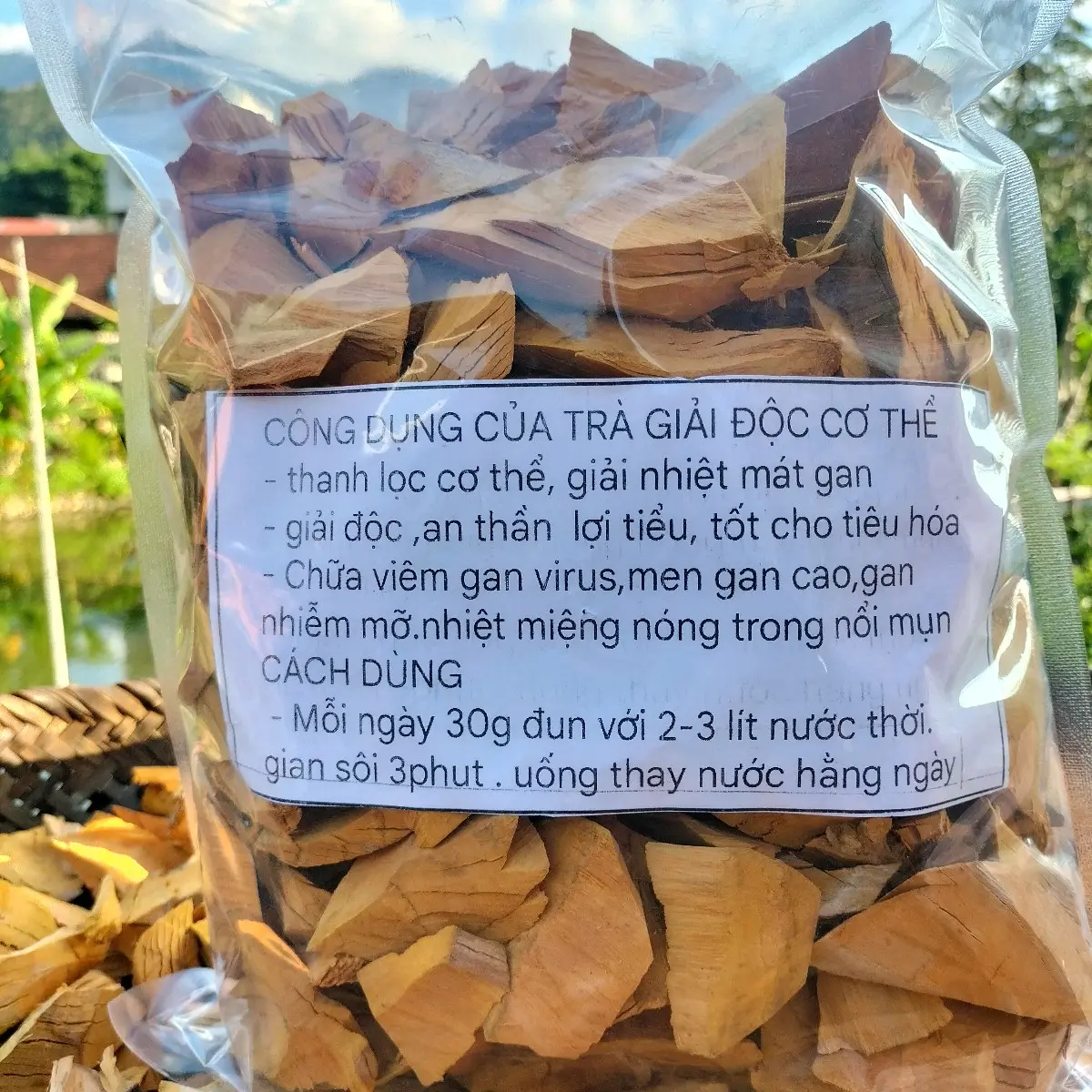 Trà Cây Nhó Đông ( Cây 1 Dễ)
