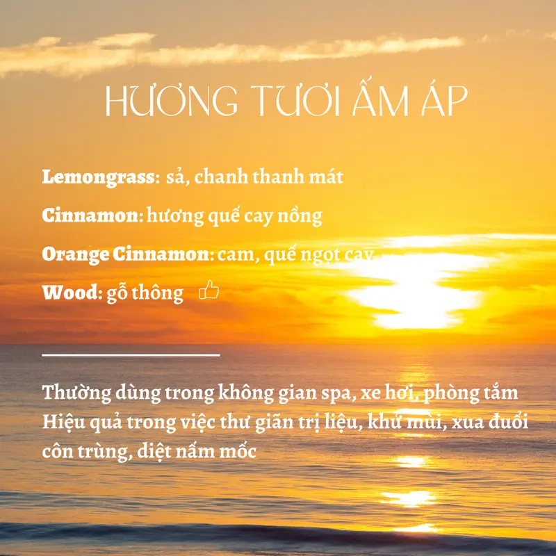 Tinh dầu hoa khô herbarium - decor nhà ở, văn phòng, góc làm việc - BST 14 mùi hương - Thư giãn, khử mùi, tăng độ tập trung, cân bằng hormone Dầu Thơm Phòng Nước Hoa 5