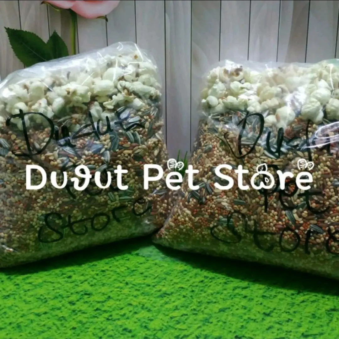 Kebutuhan Pokok 1 Kg