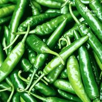 Gambar Biji Benih Bibit Sayur Cabe / Cabai Hijau Besar - Not Specified dari Potme Farm Kota Denpasar 1 Tokopedia