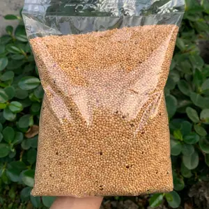 Milet Kuning 1Kg Pakan Burung Perkutut Murah Makanan Burung dalam Kemasan Plastik Transparan