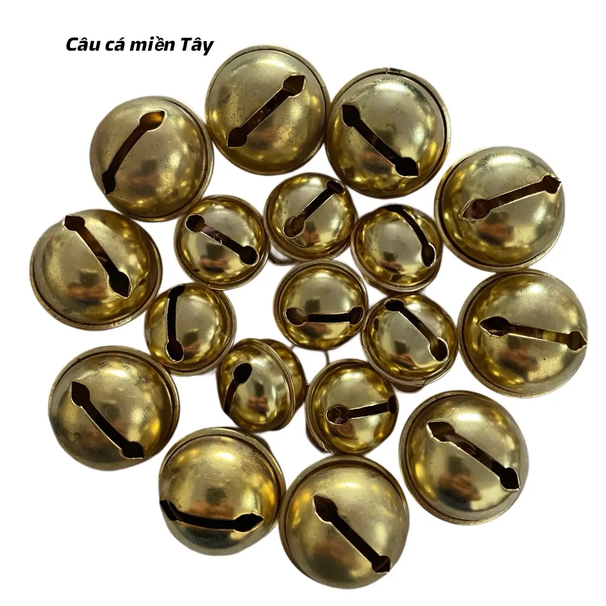 Lục lạc - báo cá ăn khi đi câu
