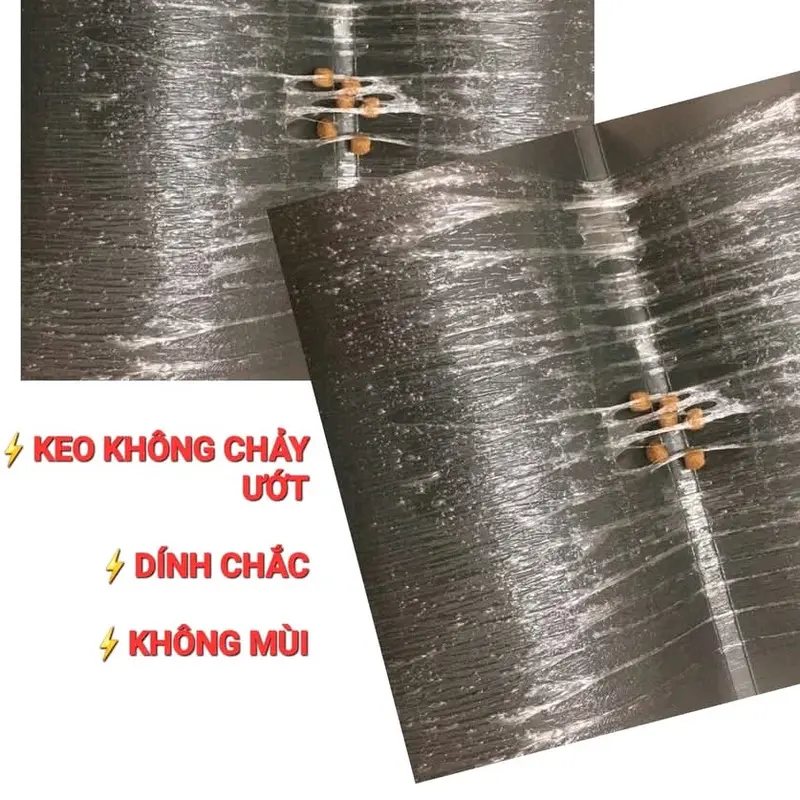 Miếng keo dán nhử chuột Bio,keo có mồi,size lớn 1