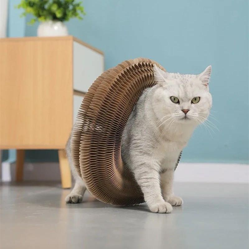 Foldable Cat Toy, Durable Funny Cat Scratcher with Bell, Durable Cat Scratching Toy, Funny Interactive Pet Paws Kitten Scratching Toy, Pet Supplies for Indoor Outdoor Use, Cat Toys, Pet Products Tools 7