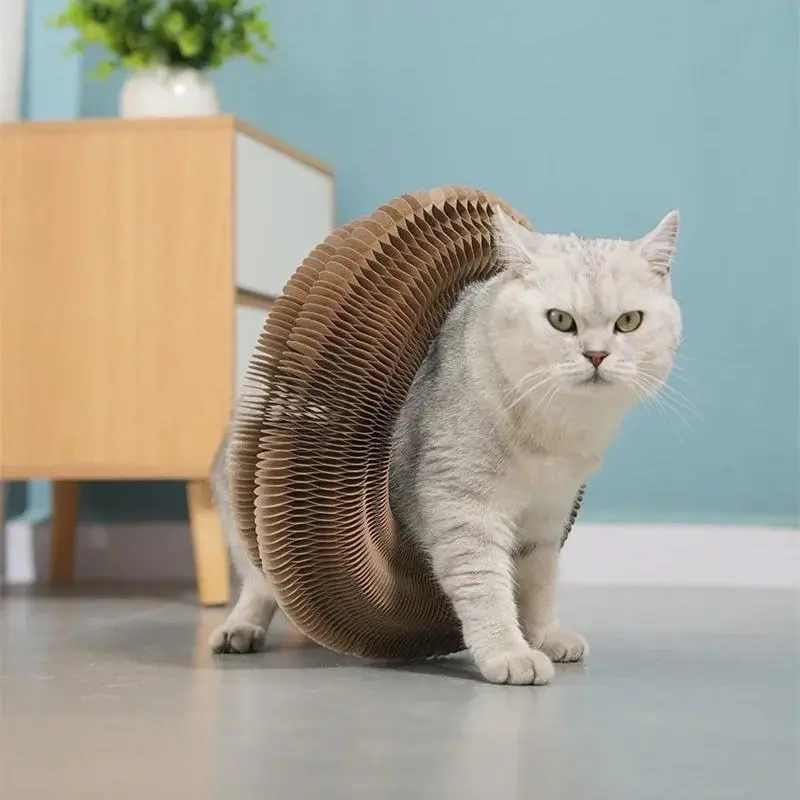 Foldable Cat Toy, Durable Funny Cat Scratcher with Bell, Durable Cat Scratching Toy, Funny Interactive Pet Paws Kitten Scratching Toy, Pet Supplies for Indoor Outdoor Use, Cat Toys, Pet Products Tools 8