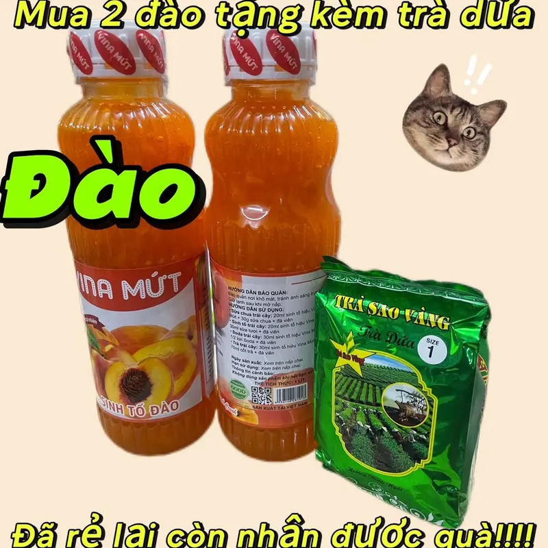 KHUYẾN MẠI  MỘT TRÀ 70G KHI MUA 2  Sinh Tố Trái Cây bất kỳ Vina Mứt 1000ml/ Đào, Dâu ,Ổi , Kiwi, mãng cầu … 6