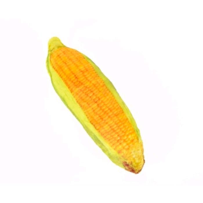 Gambar Corn Plush Toys - Mainan gigitan anjing puppy dari Puppi Qube Store Kota Administrasi Jakarta Barat Tokopedia