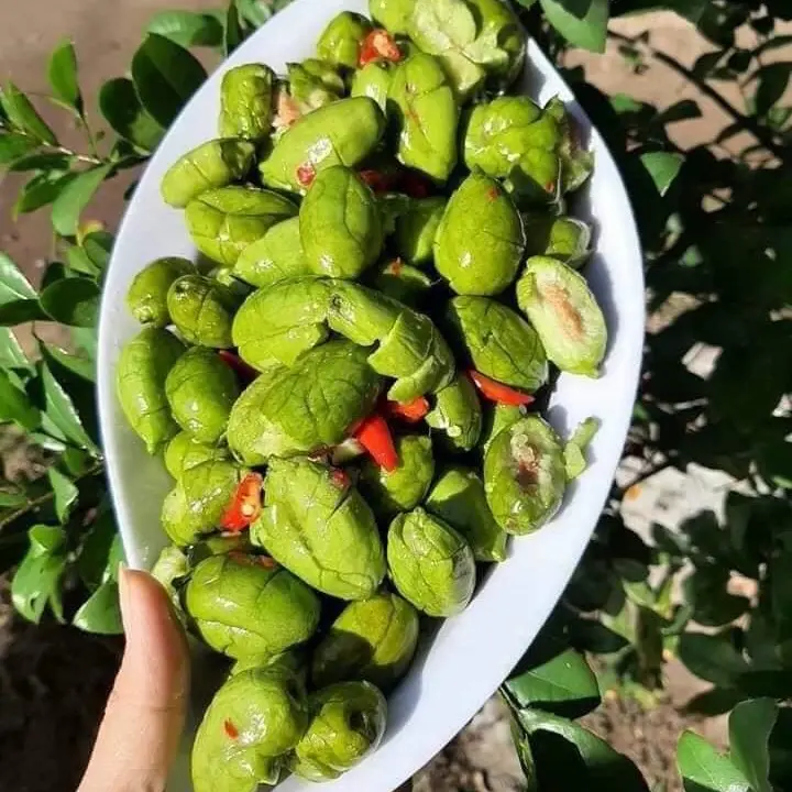 Cà na lắc muối ớt Ăn Vặt hút chân không túi 1kg