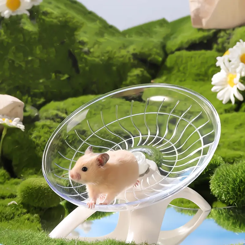 Small Pet Silent Running Exercise Wheel For Hamster, Mice, Hedgehog, Parrot And Other Small Animals