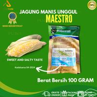 Gambar Bibit Biji Jagung Manis Unggul Maestro 100gr Rajawali dari PUROTANI.ID Kab. Purworejo 2 Tokopedia