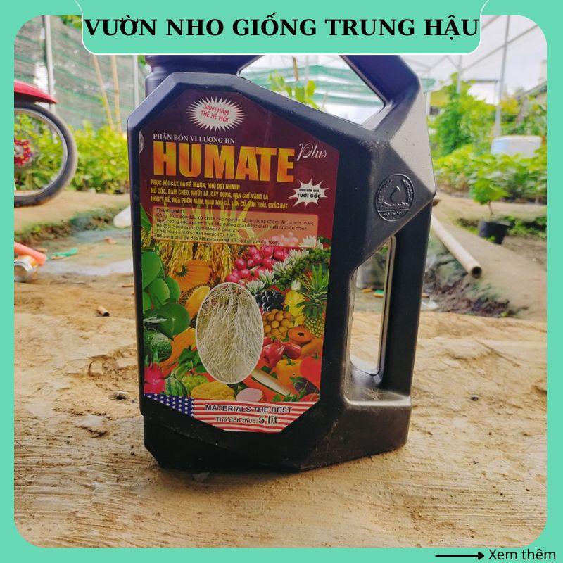 Phân bón Humate vi lượng humic hữu cơ phục hồi cây ra rễ mạnh PB12 hạt giống cây nắp ấm trùn chỉ bó hoa vàng hạt cây nắp ấm thù
