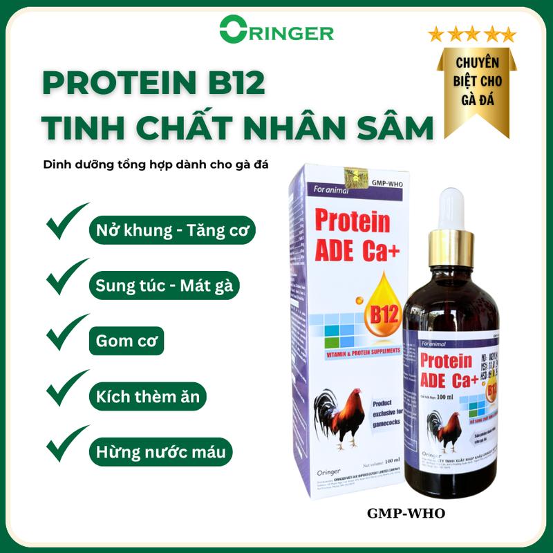 Thuốc bổ tổng hợp Protein b12 Giúp gà nở khung, tăng cơ, kích thèm ăn, hừng máu, kích thích thèm ăn (100ml)