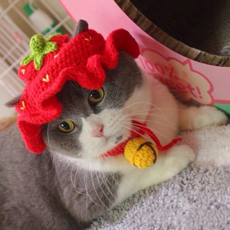 Product Introduction of Pet Knitted Hat Cat Hat With Ear Holes Cute Kitten And Dog Headgear Pet Cosplay Hat 20