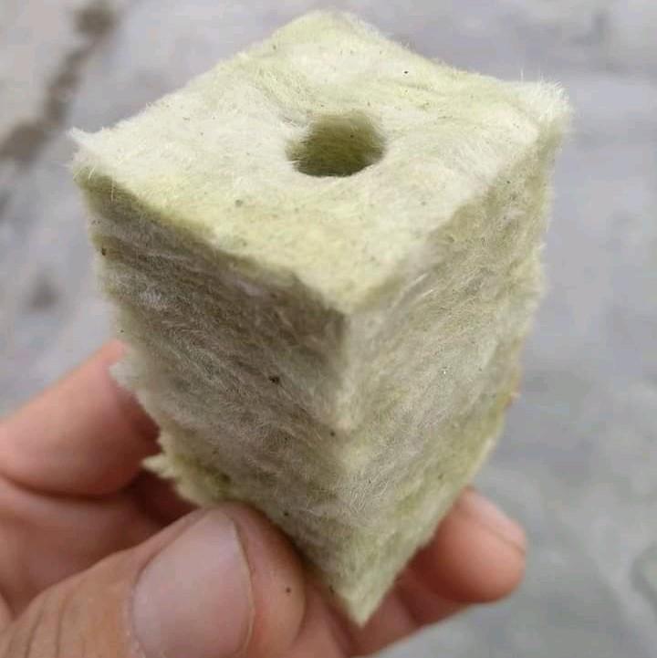 Giá thể rockwool ươm cây 5 vỉ/ 200 viên (25*25*50) 4