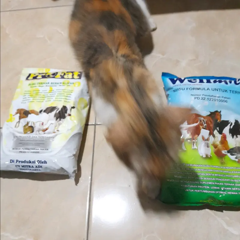 Susu Formula Khusus Profat Kemasan 1 Kg untuk Pertumbuhan Optimal Daging - CV Mitra Adi 4