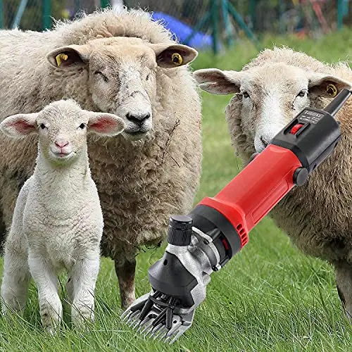 3500W Alat cukur pencukur bulu domba kambing listrik Alat potong rambut kambing Mesin pisau cukur bulu clipper domba Pemangkas bulu domba listrik Gunting rambut kambing Pencukur bulu domba Rambut kambing Elektrik Cukuran Professional 2