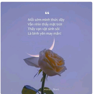 Bách Hóa Bá Phát