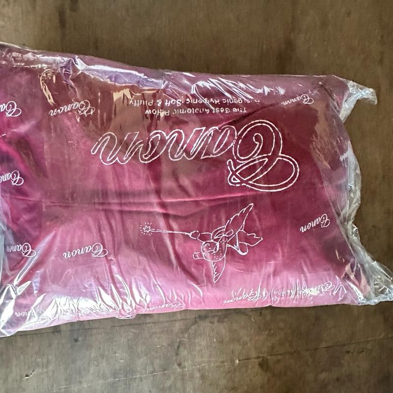 Bantal canon ekonomi Anti Bakteri Bed 5