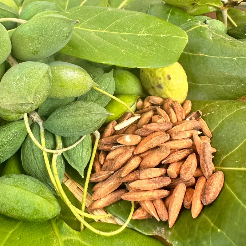 Hạt Bàng Rang Đường 200gr