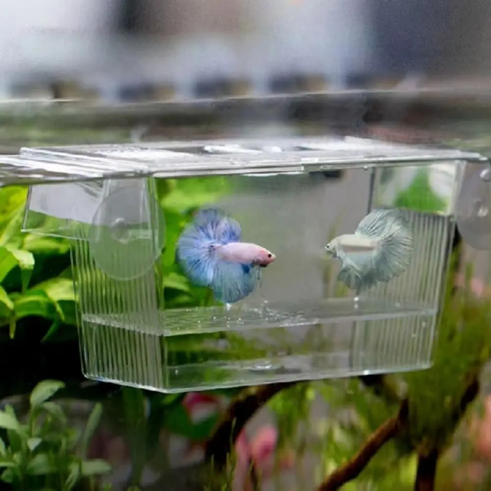 justzzs Creative Acrylic Fish Tank Breeding Incubator Grow Seedling Reproduction Holder Breeder Isolation Box Fish Fry Aquarium Aquarium