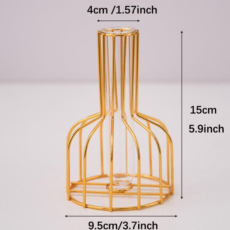 Product Introduction of 1 Set of Creative Gold Wrought Iron Metal Vase Hydroponic Container Test  Nordic Style Vase Living Room Illustration Decoration 4