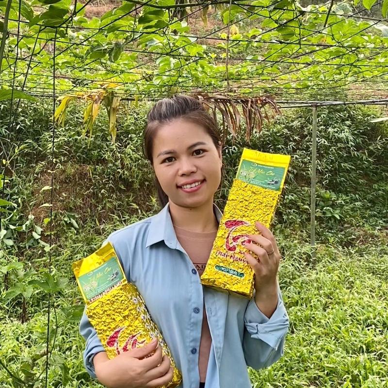 Combo 2kg trà móc câu trà Hữu cơ