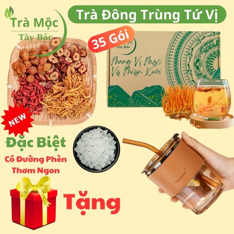 Hộp 35 gói TẶNG CỐC BỌC DA - Trà đông trùng tứ vị thảo mộc nấm đông trùng hạ thảo táo đỏ kỷ tử long nhãn hàng chọn có mix thêm đường phèn trà an thần dưỡng nhan
