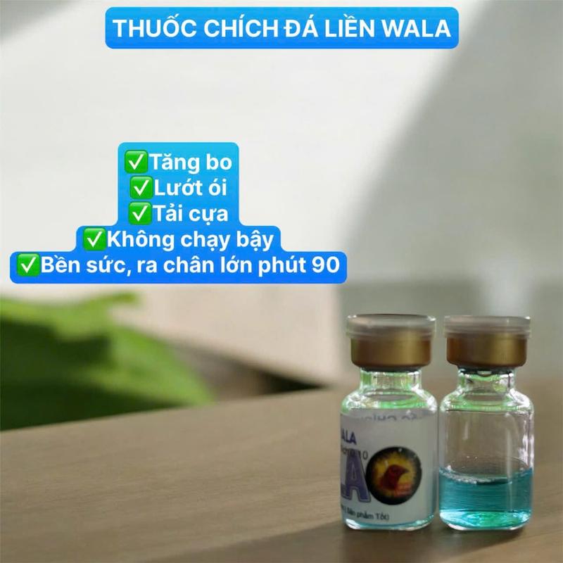 NĂNG LƯỢNG Walla Viper Lợt Đặc Biệt -Tăng bo tải kưa cầm mau .giảm đa.u cực kỳ 1 3m dành cho gà tre và gà nòi