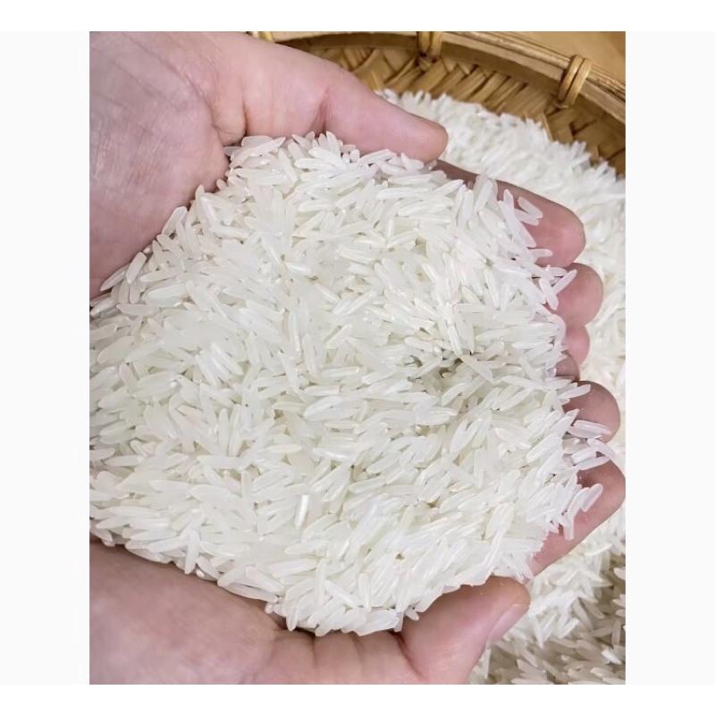gạo ST25 Ông thọ túi 5kg dẻo mềm 3