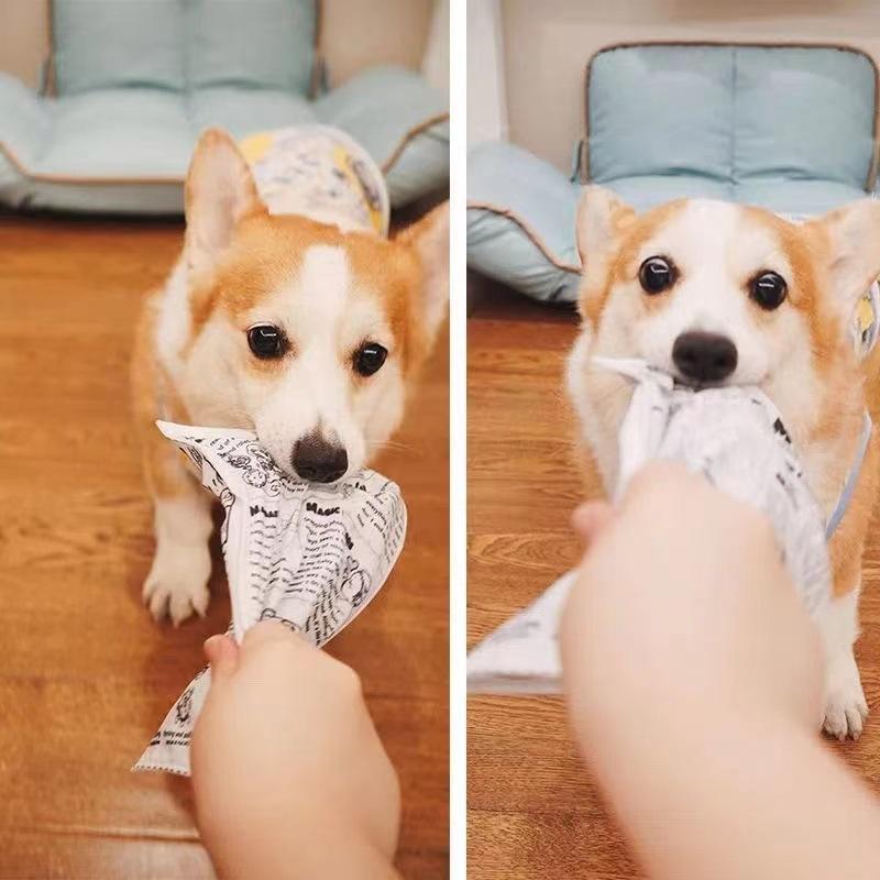 Đồ chơi cho chó có thể ăn, không mùi, có thể nhai, thiết kế báo in, thích hợp cho Corgi và chó cỡ Trung Bình cung cấp, đồ dùng cho chó 2