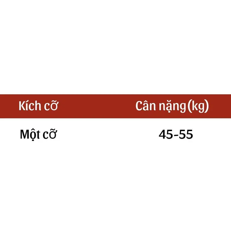 CHÂN VÁY VOAN 3 TẦNG CÓ LÓT QUẦN 8
