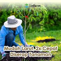 Gambar INFARM - Nutrisi AB Mix Pohon 100 Liter, Pupuk Tumbuhan Vitamin Organik Pupuk Infarm Original ABMB ABMIX Pohon Bonsai Perawatan Kebun Nutrisi Bubuk Mudah Larut - Pohon 220 G dari Infarm Kota Surabaya 3 Tokopedia