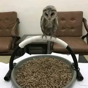 Tangkringan Pangkringan Tenggeran Burung Hantu Perch BOP