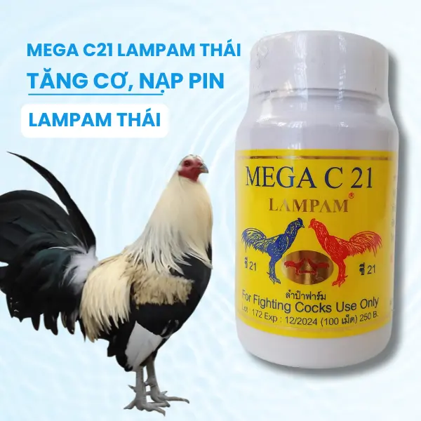 Mega C21 LAMPAM Thái cho gà giúp tăng cơ