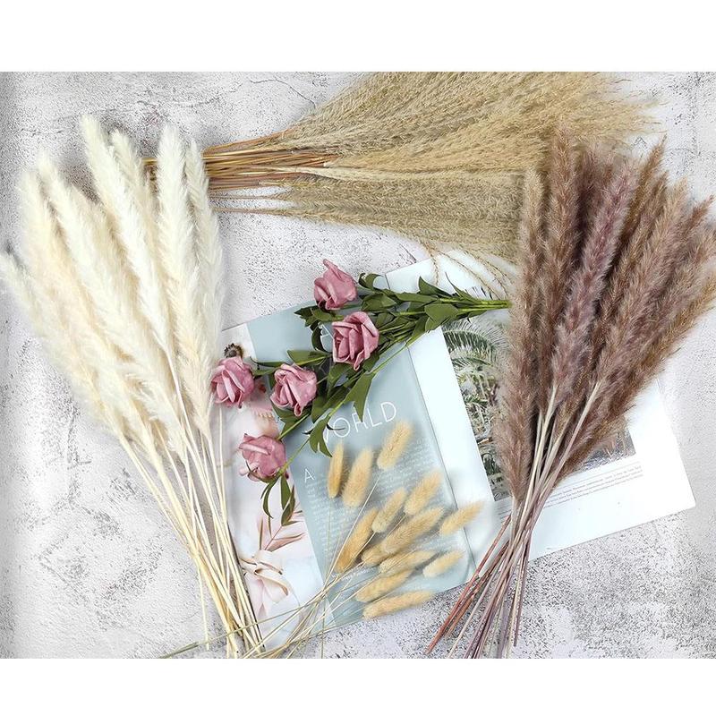 Natural Dried Pampas Grass (100pcs), Home Decorative Grass, Dried Pampas Grass for Home Table Decoration, Party Decor, Room Decor, Room Accessories 4