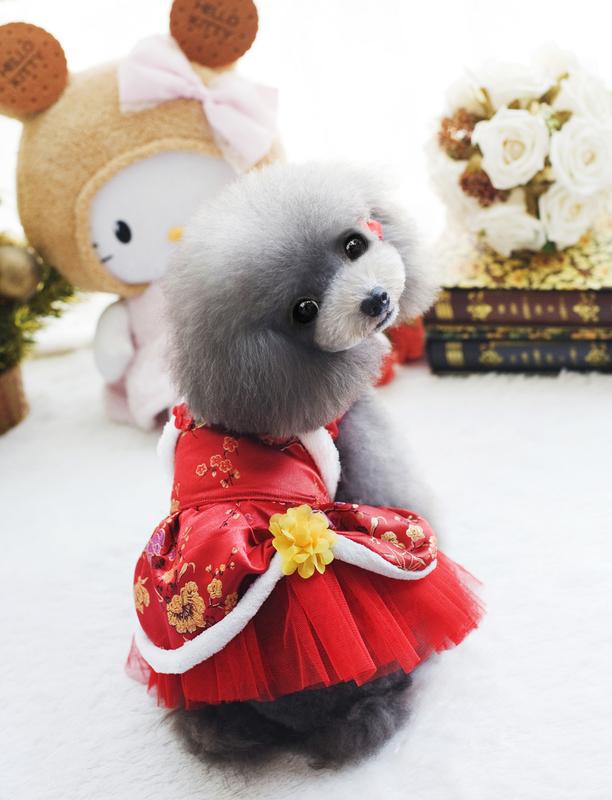 Váy Tết cho chó mèo, vải cotton , ấm áp thoáng mát , Quần áo thú cưng 5