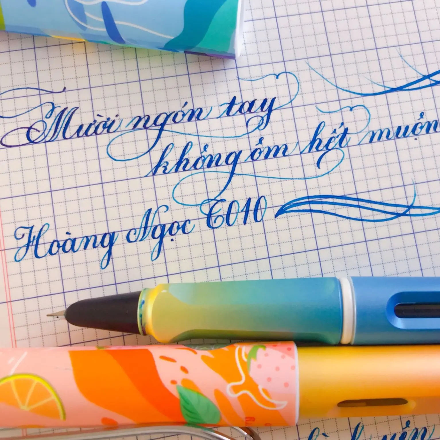 Bút mài Hoàng Ngọc T010 ngòi lá tre viết  rèn