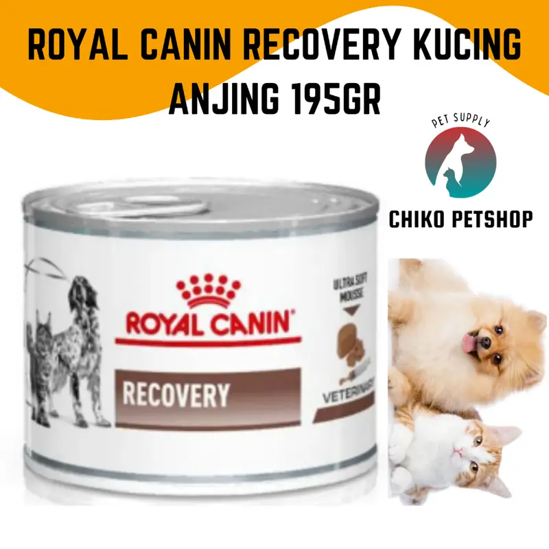 ROYAL CANIN RECOVERY WETFOOD ANJING KUCING 195GR 0