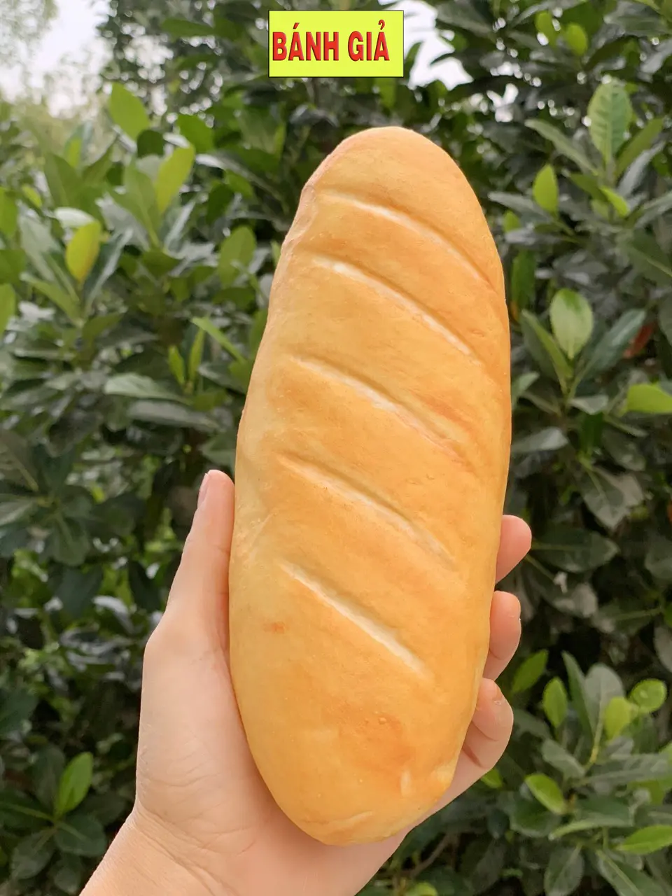 Mô hình bánh mì, bánh mỳ giả