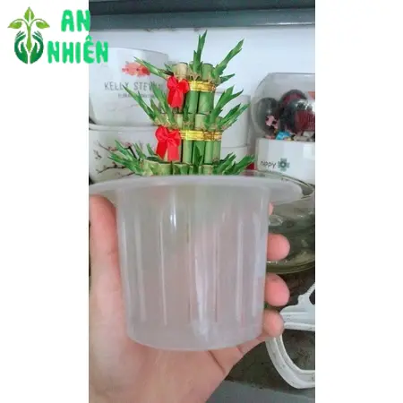 Nắp Trồng Thuỷ Sinh Hàng Gửi Như Hình 1