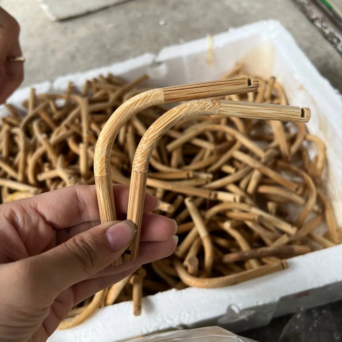 Cầu góc hút mật cầu góc chim hút mật tre già 1 cặp