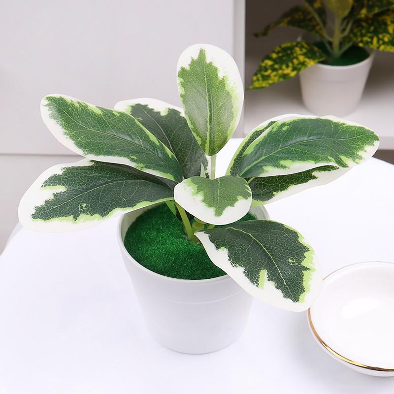 Cây Nhân Tạo, Cây Bonsai Mini, Cây Trong Chậu, Hoa Giả, Đồ Trang Trí Trong Chậu Để Bàn Văn Phòng, Trang Trí Sân Vườn Nhà Cửa 7