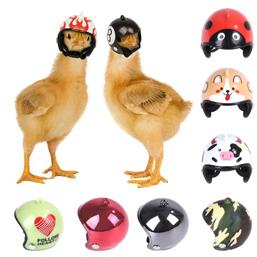 1Pc Chicken Helmet Pet Chicken Headgear Funny Parrot Bird Hat Durable Hard Headwear
