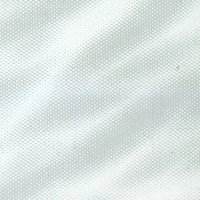 MÀNG PHIM CHUYỂN NƯỚC MẪU CARBON 2