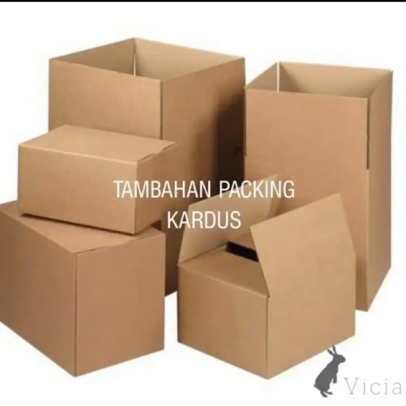 Tambahan packing carton box atau dus