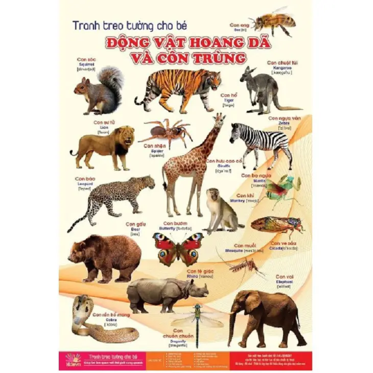 BỘ TRANH TREO TƯỜNG VỀ THẾ GIỚI XUNG QUANH 14 CHỦ ĐỀ CHO CÁC BÉ (39K LÀ GIÁ CẢ BỘ GỒM 14 CHỦ ĐỀ) 3